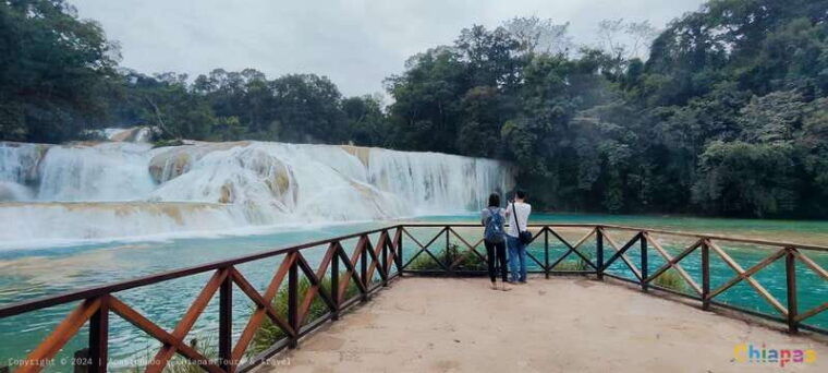 from-palenque-misol-ha-agua-azul-waterfalls-day-tour