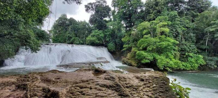 from-palenque-palenque-and-roberto-barrios-waterfalls-tour