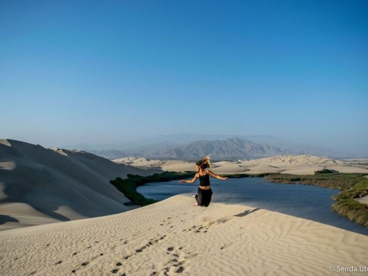 from-paracas-mini-buggy-tour-sandboarding-at-oasis