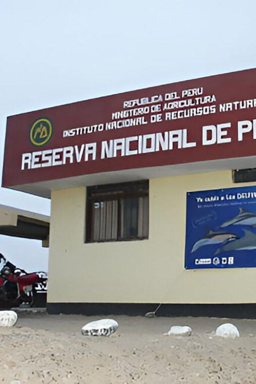 from-paracas-paracas-national-reserve-tours