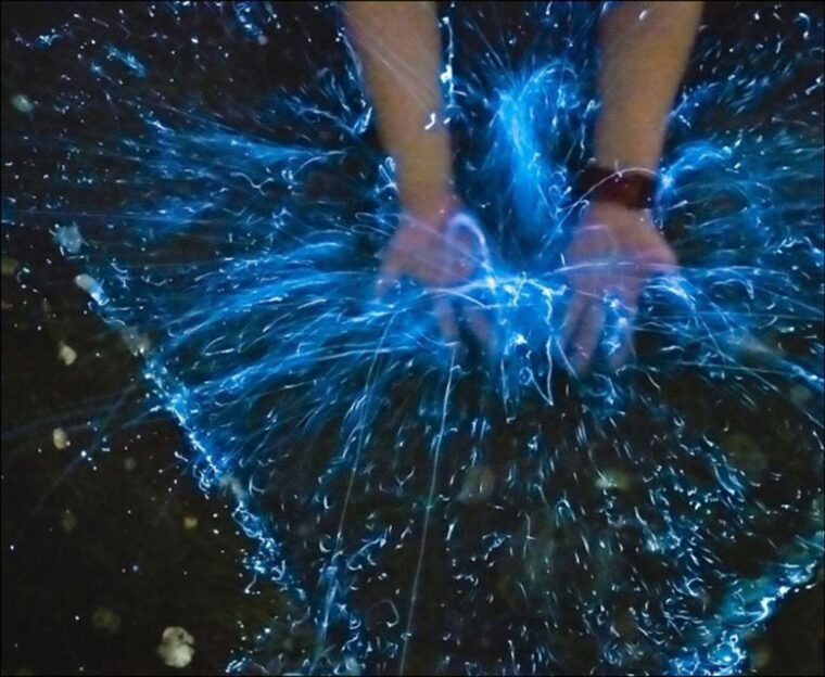 from-phi-phi-sunset-bioluminescent-plankton-snorkel-tour