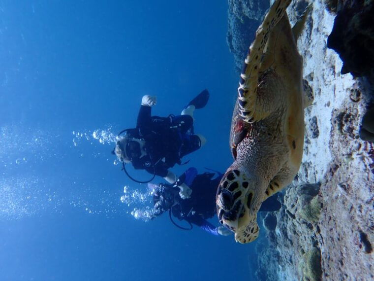 from-phuket-3-day-ssi-padi-open-water-diver-certification