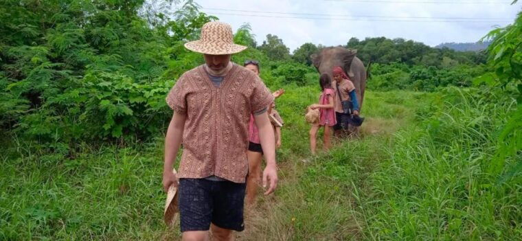 from-phuket-ethical-elephant-interactive-trek-and-tour