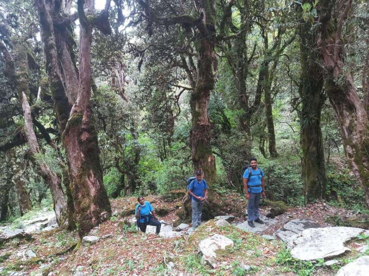 from-pokhara-2-days-poonhill-trek-with-sunrise-view