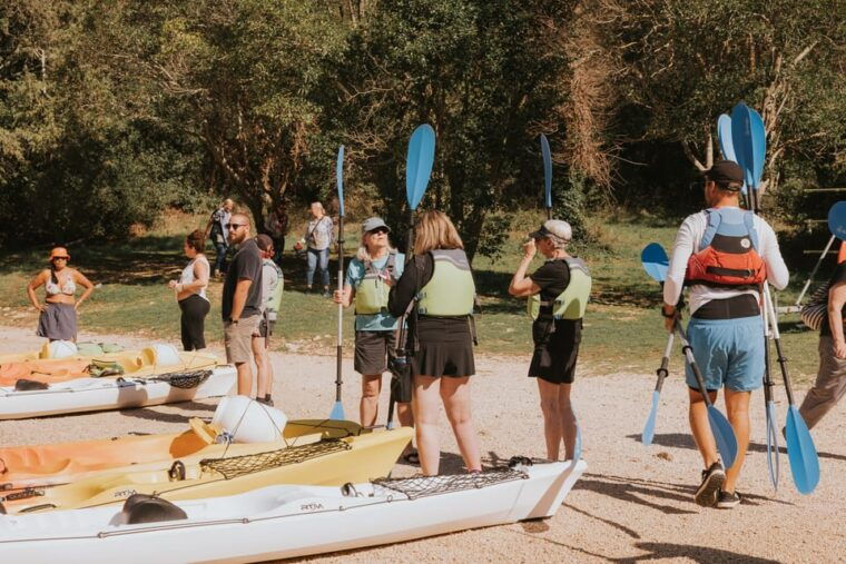 from-porec-lim-bay-sea-kayaking-day-trip