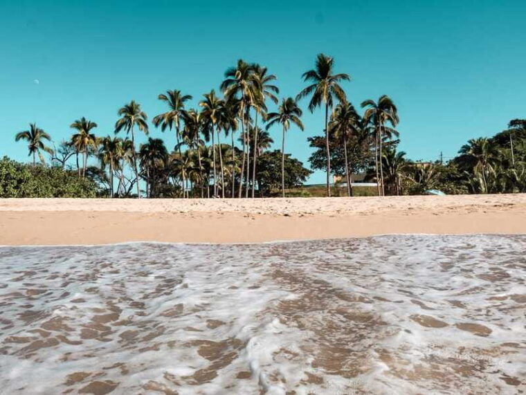 from-puerto-vallarta-san-pancho-and-sayulita