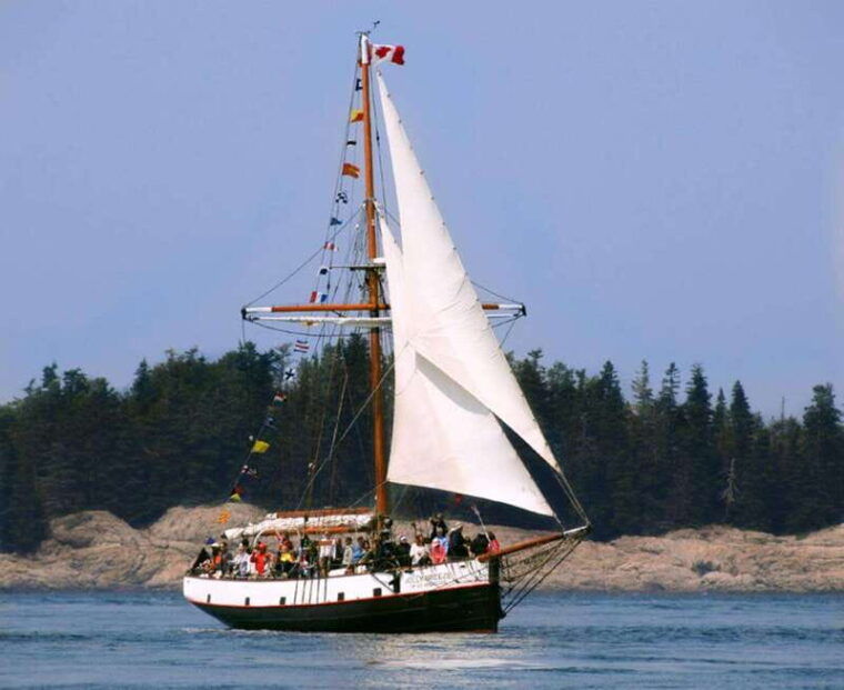 from-saint-john-saint-andrews-whale-watching-tour