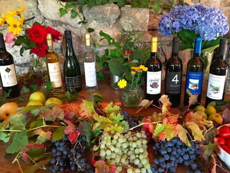 from-salerno-amalfi-coast-tour-and-wine-tasting-with-lunch