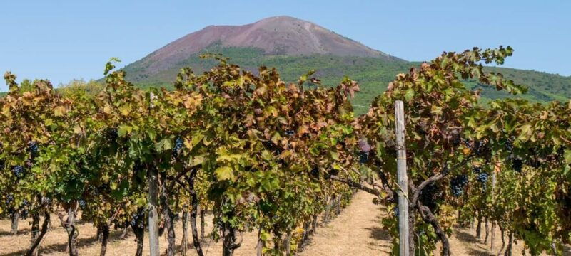 from-salerno-pompeii-and-vesuvius-winery-private-tour