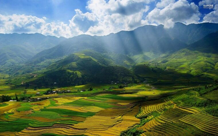 from-sapa-terrace-fields-and-local-villages-trek-with-lunch