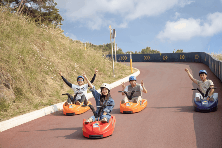 from-seoul-alpaca-farm-with-rail-bike-luge-racing