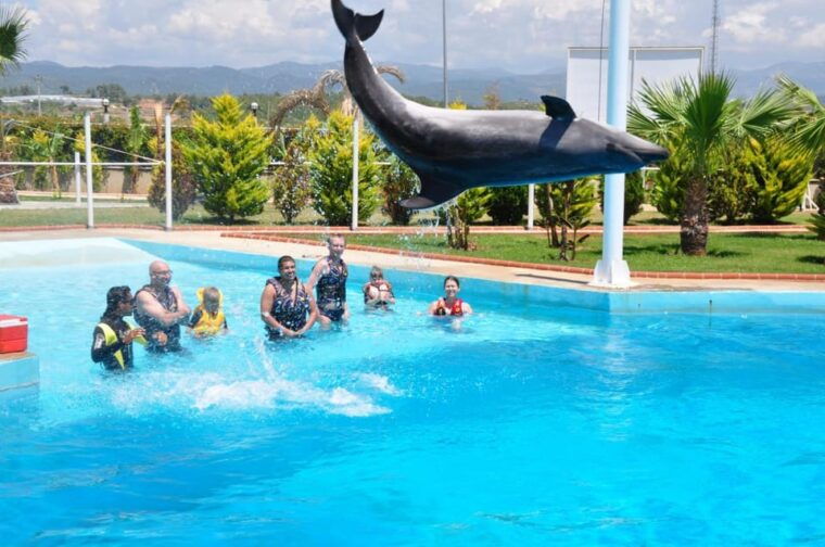 from-side-dolphin-and-seal-show-ticket-with-hotel-transfers