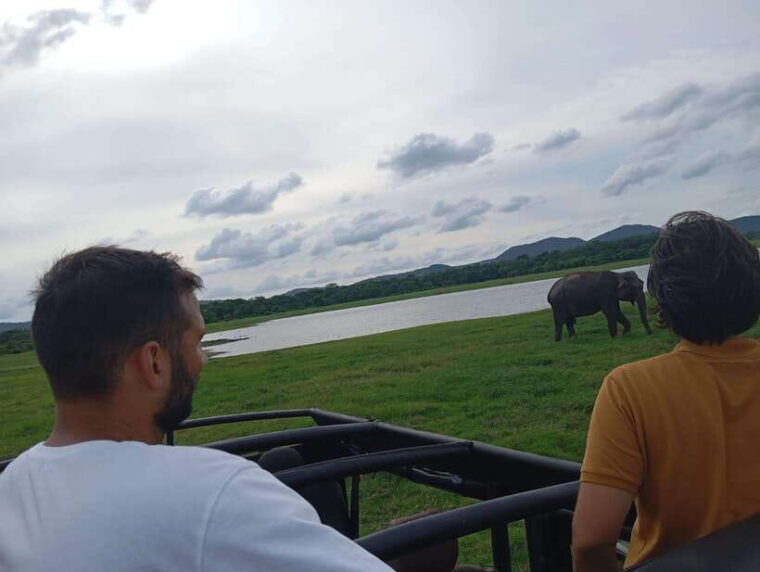 from-sigiriya-minneriya-national-park-half-day-jeep-safari