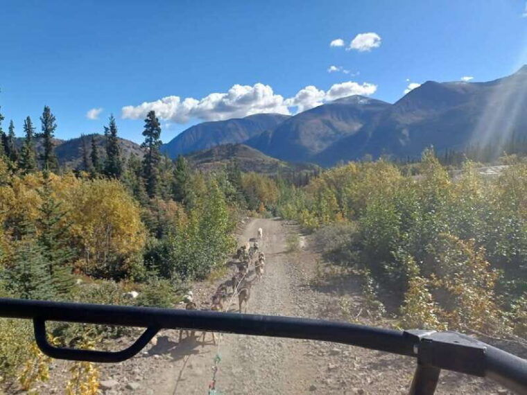 from-skagway-yukon-sled-dog-mushing-white-pass-combo-2