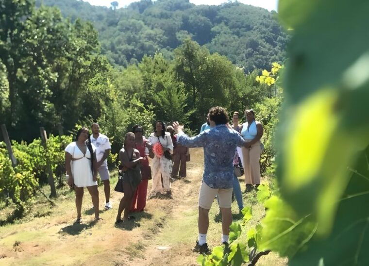 from-sorrento-naples-cortecorbo-wine-cooking-experience