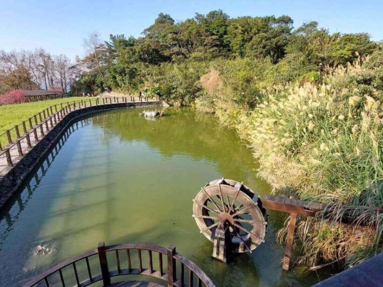 from-taipei-pinglin-tea-culture-and-maokong-guided-day-tour