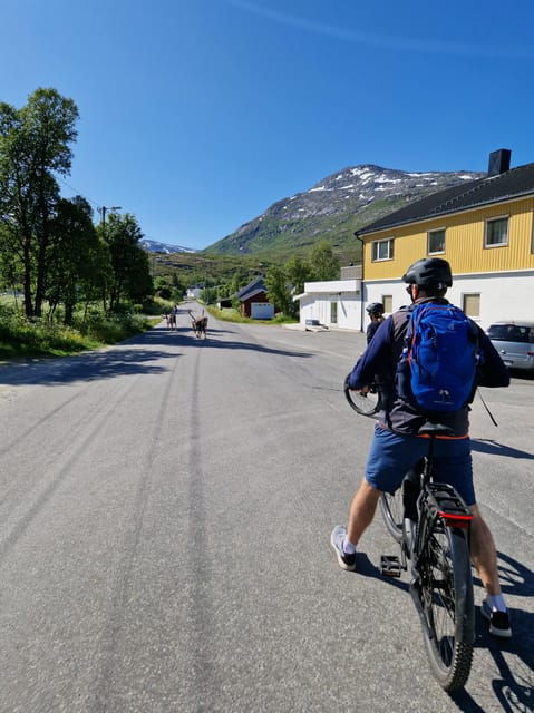 from-tromso-fjord-sightseeing-with-e-bike