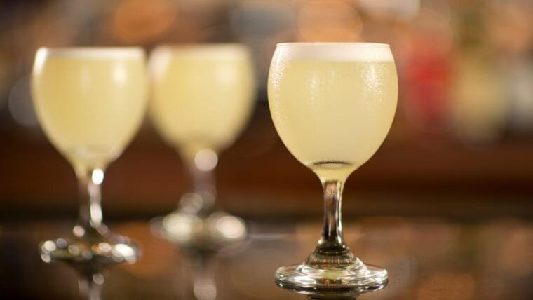 from-trujillo-chan-chan-huanchaco-and-pisco-sour-tasting