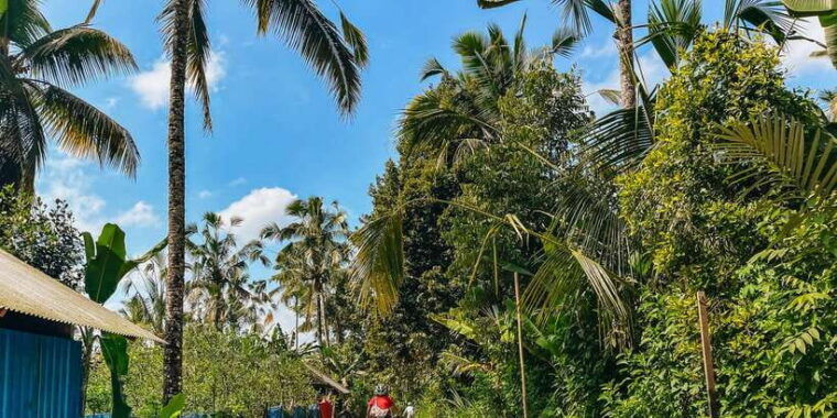 from-ubud-downhill-bike-tour-with-rice-terraces-and-meal