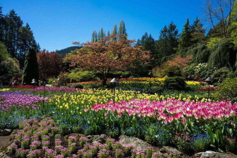 from-vancouver-butchart-gardens-victoria-sightseeing-tour