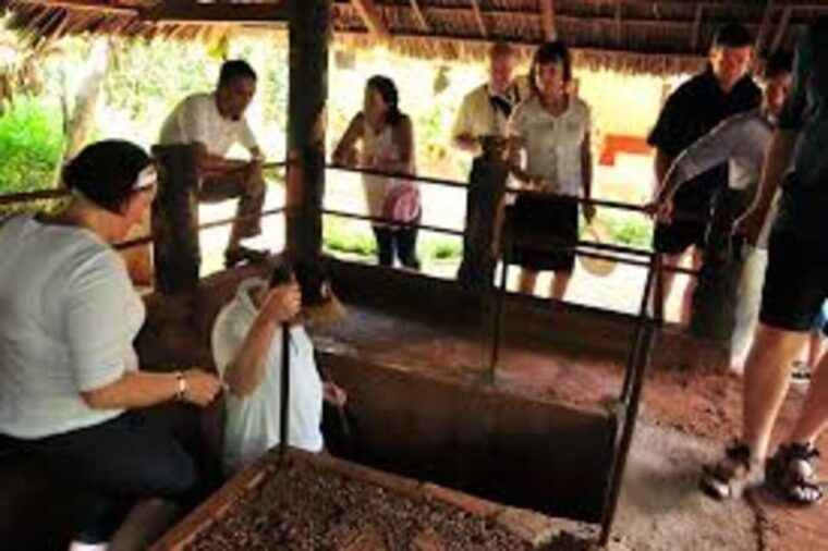 from-vung-tau-nui-dat-long-tan-private-tour