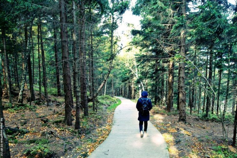 from-wroclaw-full-day-stolowe-mountains-trekking-tour