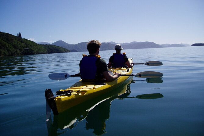 Full day Guided Sea Kayak Tour from Picton - FAQs