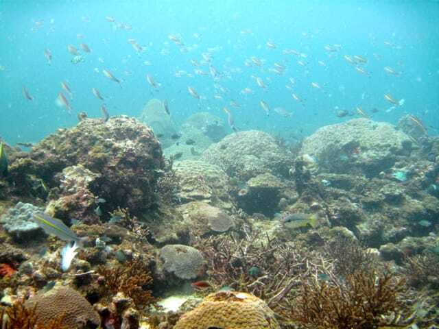 full-day-guided-snorkeling-tour-from-kota-kinabalu