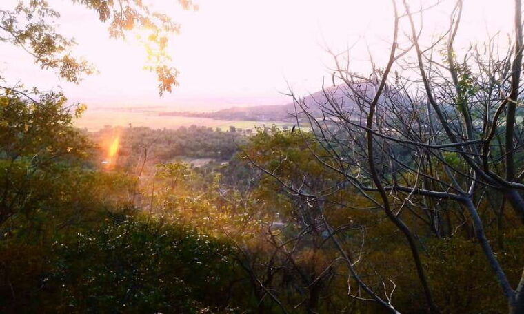 full-day-handicraft-bamboo-train-killing-cave-bat-cave