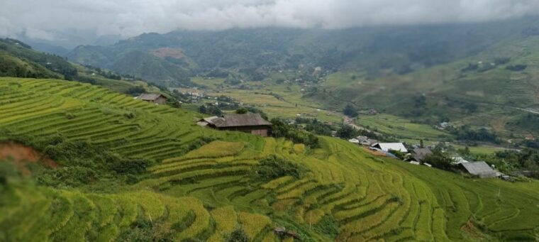 full-day-trekking-lao-chai-ta-van-and-cat-cat-village
