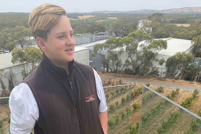 Full-Day VIP Hahndorf and McLaren Vale Private Car Tour - Who Would Love This Tour?