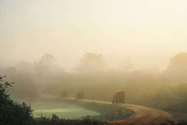 fully-loaded-sri-lanka-free-trip-to-sigiriya-and-dambulla