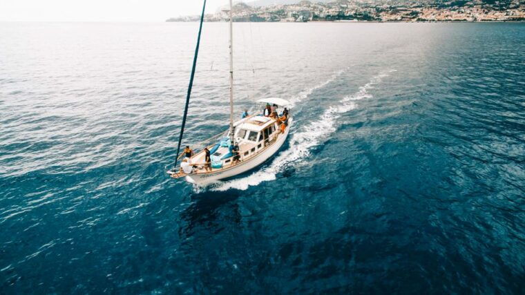 funchal-dolphin-and-whale-watching-sunset-sailing-tour