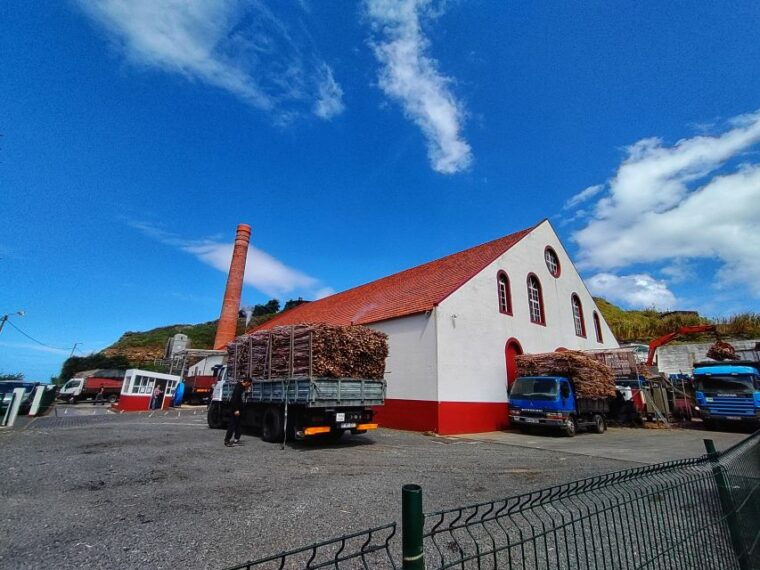 funchal-east-madeira-island-guided-tour-laurissilva-walk