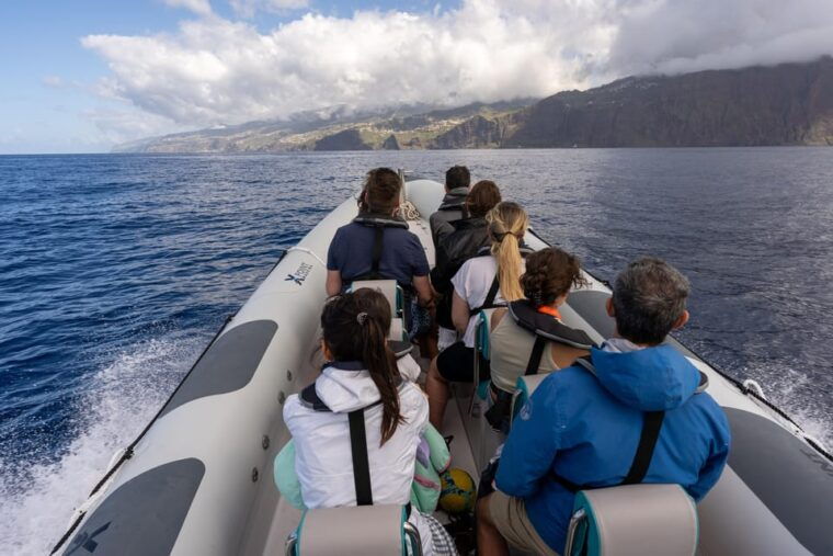 funchal-guarantee-wild-dolphinwhale-watching-by-rib