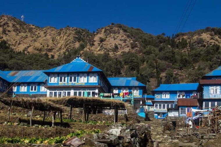 ghorepani-poon-hill-trek