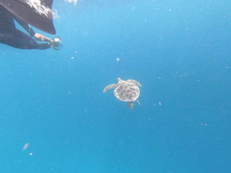 gili-air-trawangan-glass-bottom-boat-tour-with-snorkeling
