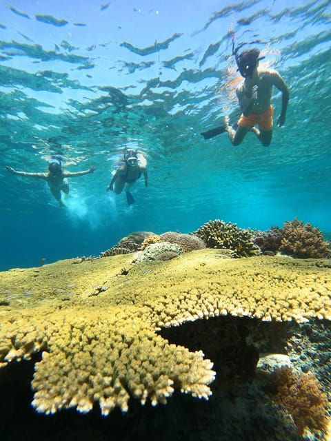 gili-island-tour-group-share-snorkeling-3-gili-island