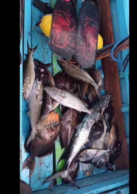 gili-islands-spearfishing-tour