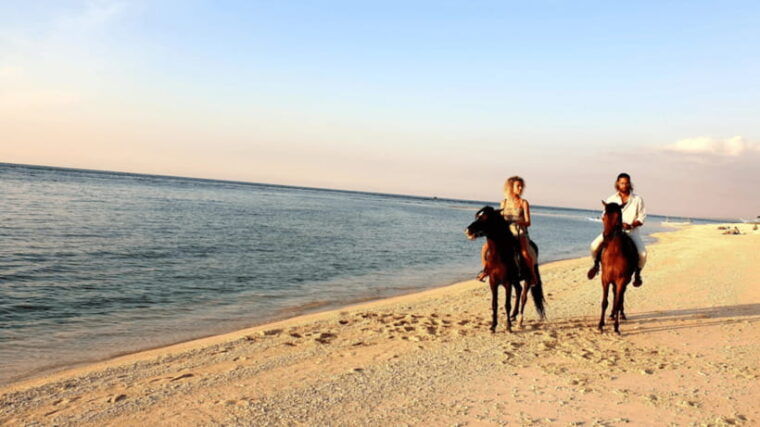 gili-meno-1-hour-horse-riding-adventure