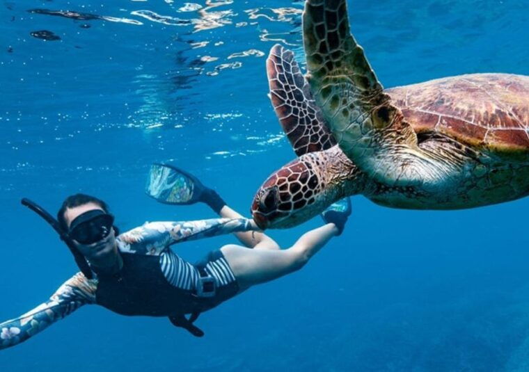 gili-t-island-the-thrilling-sunset-snorkeling-adventure