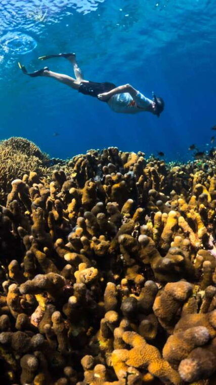gili-trawangan-private-sharing-snorkeling-tour-3-gili