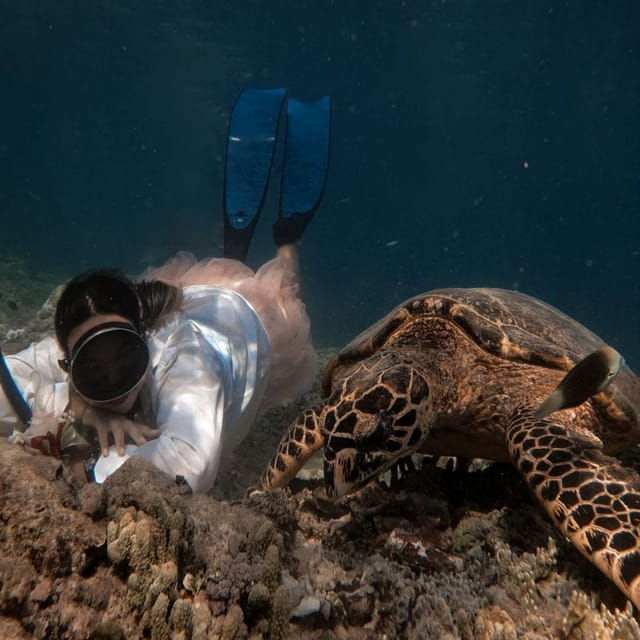 gilitrawanganprivate-tour-3-spot-statuecoral-reefturtle
