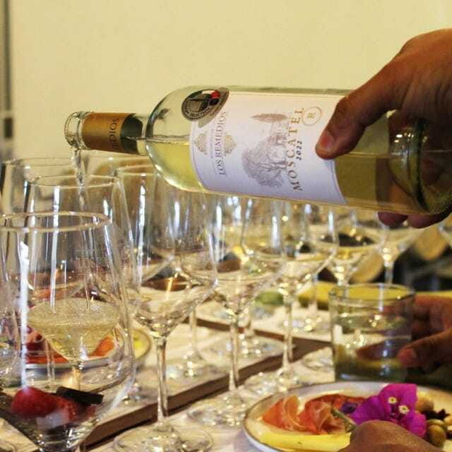 guanajuato-the-remedios-vineyard