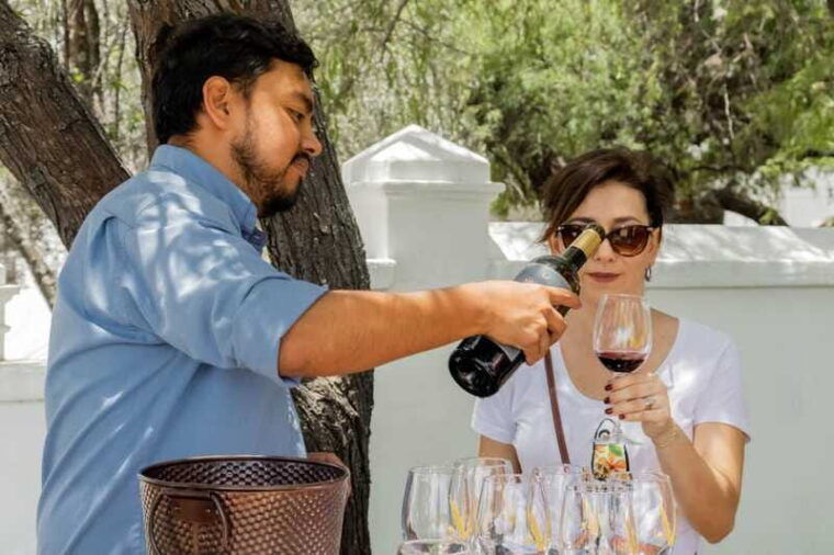 guided-tour-and-tasting-of-4-wines-at-vinedo-dos-buhos