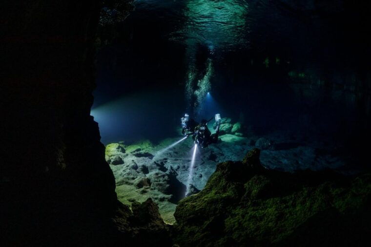 half-day-dive-trip-for-certified-divers