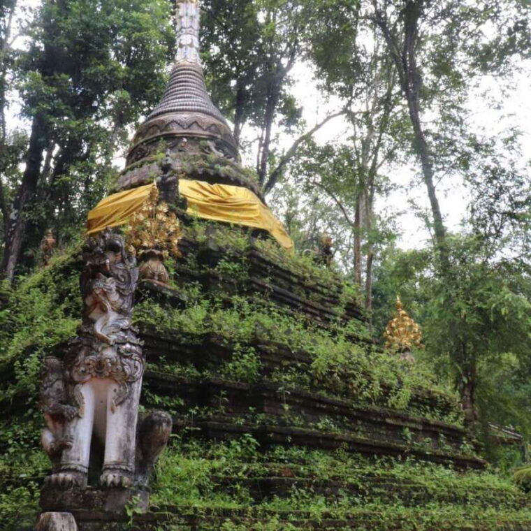 half-day-morning-wat-pha-lat-wat-phra-that-doi-suthep-tour