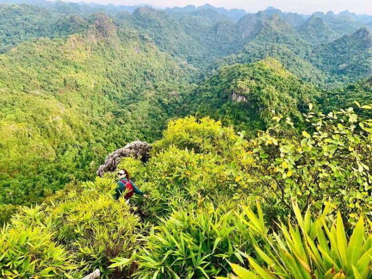 half-day-trekking-cat-ba-national-park
