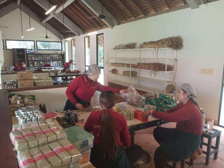 half-day-trip-silk-farm-satcha-and-senteur-dangkor-tour