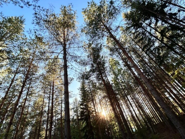 helsinki-guided-nature-experience-with-campfire-and-meal